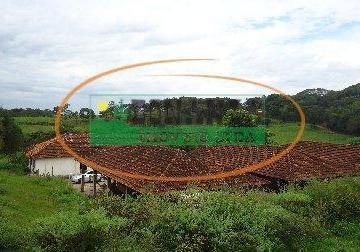 Rural · 60000m² · 3 Quartos · Rurais à venda - em Brumadinho