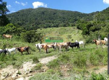 Rural · Rurais à venda - em Macaé