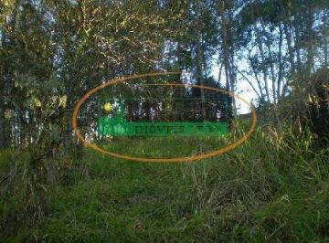 Terreno · Terreno à venda - no Centro
