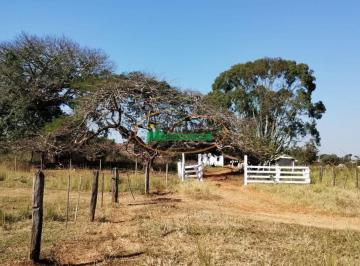 Rural · 3 Quartos · Rurais à venda - no Centro