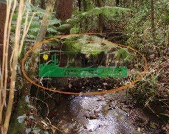 Terreno · 40000m² · Terreno à venda - no Alto Vieiras