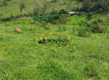 Terreno · 2400m² · Terreno à venda - na Vila Coco