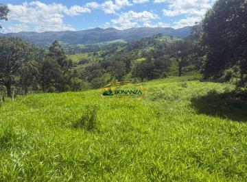 Terreno · 58900m² · Terreno à venda - em Moeda