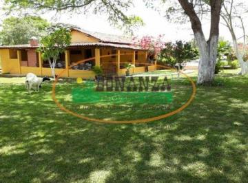 Rural · 50000m² · 3 Quartos · Rurais à venda - em Glória do Goitá