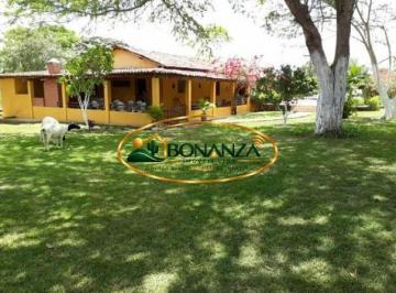 Rural · 50000m² · 3 Quartos · Rurais à venda - em Glória do Goitá