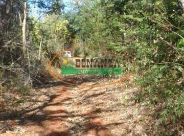 Terreno · 400m² · Terreno à venda - em São José de Almeida
