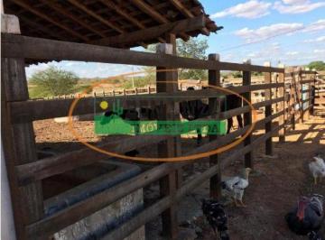 Rural · 3 Quartos · Rurais à venda - em Jataúba