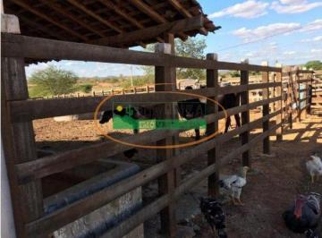 Rural · 3 Quartos · Rurais à venda - em Jataúba