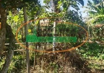 Terreno · 300m² · Terreno à venda - em São João