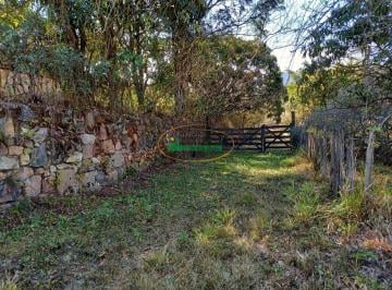 Rural · 160000m² · 4 Quartos · Rurais à venda - em Moeda
