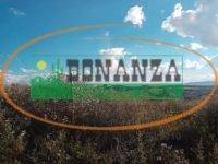 Rural · 20000m² · Rurais à venda - em Congonhas