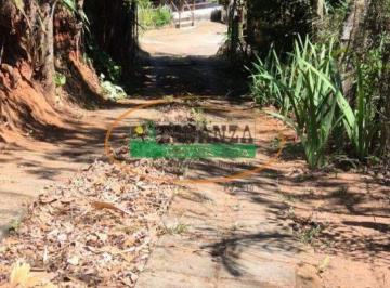 Rural · 28800m² · 4 Quartos · Rurais à venda - em Moeda