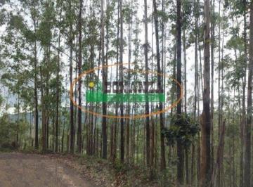 Terreno · 160000m² · Terreno à venda - em Mariana