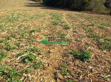Terreno · 800000m² · Terreno à venda - em São João Del Rei