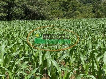 Rural · Rurais à venda - em Rio Quente