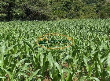 Rural · Rurais à venda - em Rio Quente