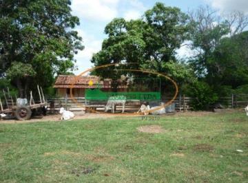 Rural · Rurais à venda - no Centro