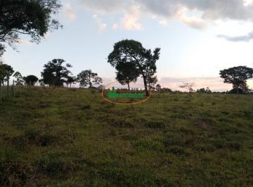 Terreno · Terreno à venda - em Castro