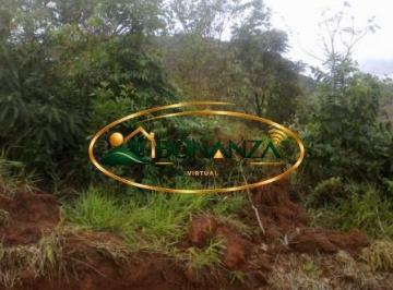 Terreno · 9000m² · Terreno à venda - em Moeda