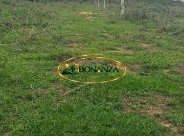 Terreno · 20000m² · Terreno à venda - em Coronel Xavier Chaves
