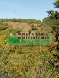 Terreno · Terreno à venda - em Dores de Campos
