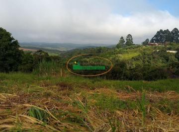Terreno · 1445m² · Terreno à venda - em Carreiras