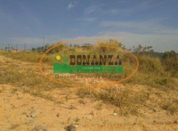 Terreno · 1000m² · Terreno à venda - em Amaro Ribeiro