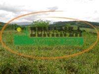 Terreno · 32500m² · Terreno à venda - no Alto Maranhão