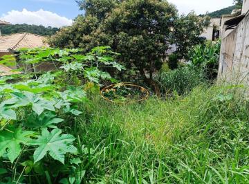 Terreno · 300m² · Terreno à venda - em Adão Lopes