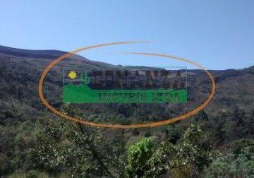 Terreno · 7000m² · Terreno à venda - em Moeda