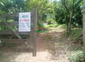 Rural · 36000m² · 3 Quartos · Rurais à venda - na Vila Coco