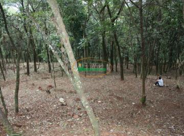Terreno · Terreno à venda - em Pasárgada