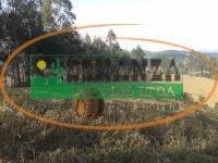 Terreno · 75000m² · Terreno à venda - em Itaverava