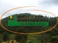 Terreno · Terreno à venda - em Piranga