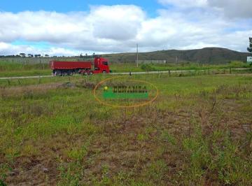 Terreno · 9000m² · Terreno à venda - em São João Del Rei