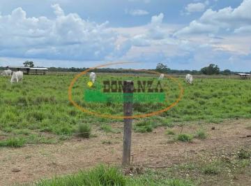 Rural · Rurais à venda - no Plano Diretor Norte