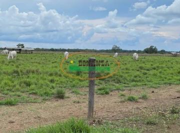 Rural · Rurais à venda - no Plano Diretor Norte