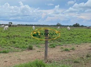 Rural · Rurais à venda - no Plano Diretor Norte