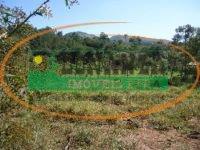 Terreno · 2600m² · Terreno à venda - em Jeceaba