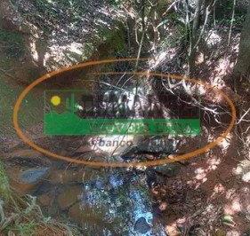 Terreno · Terreno à venda - no Centro
