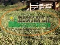 Terreno · 1920m² · Terreno à venda - na Zona Rural
