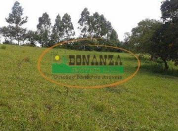 Terreno · 1000m² · Terreno à venda - em Carreiras