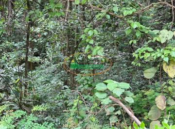 Terreno · Terreno à venda - Jardins de Petrópolis