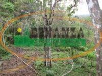 Terreno · Terreno à venda - em Santana dos Montes