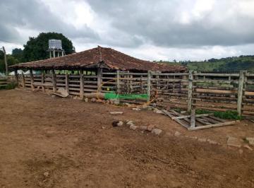 Rural · Rurais à venda - no Centro