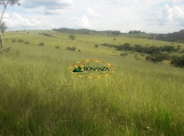 Rural · 4 Quartos · Rurais à venda - na Zona Rural