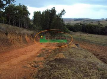 Rural · Rurais à venda - em São João Del Rei