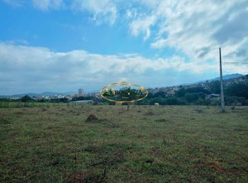 Terreno · 25000m² · Terreno à venda - na Vila Belizário