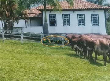 Rural · Rurais à venda - em Resende Costa