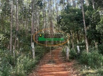 Rural · 12000m² · 1 Quarto · Rurais à venda - em Entre Rios de Minas
